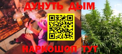 дмт Шелехов