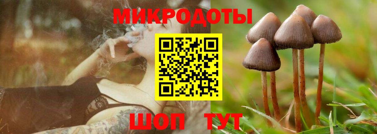 Асино  Галлюциногенные грибы Cubensis  Вход с VPN  Псилоцибиновые грибы GOLDEN TEACHER 